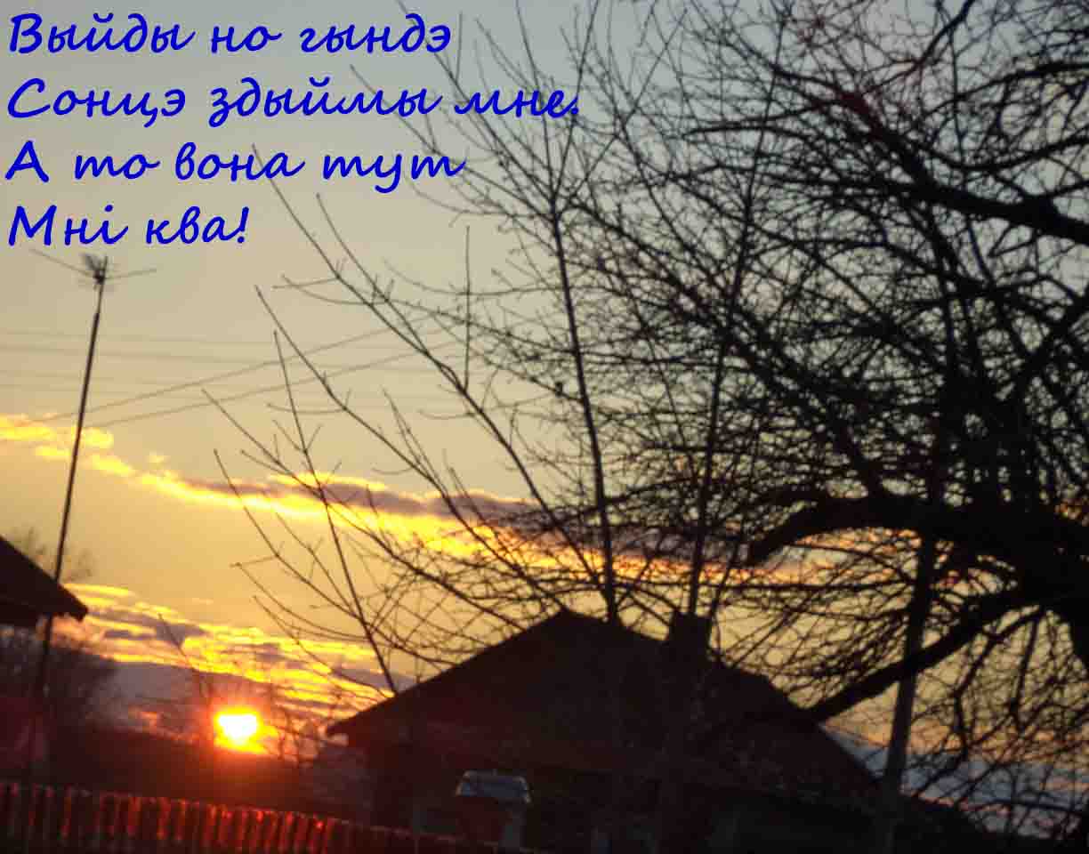 Вот мы нашли ш снова волка