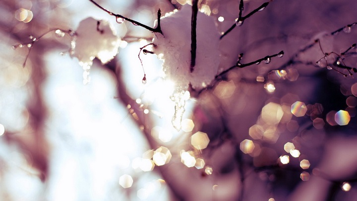 Бархатный день весны