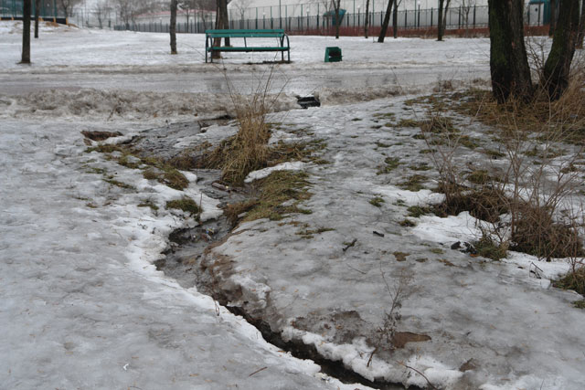 Зима свои шлет отголоски!