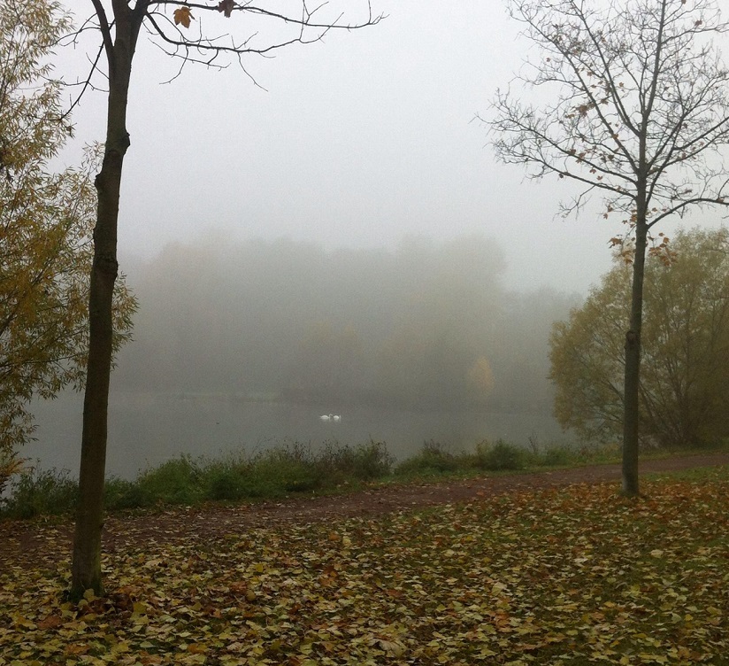 В туманах по осколкам