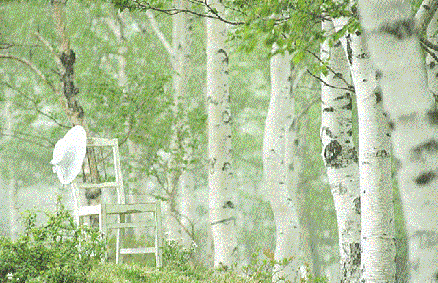 Украду снег у зимы