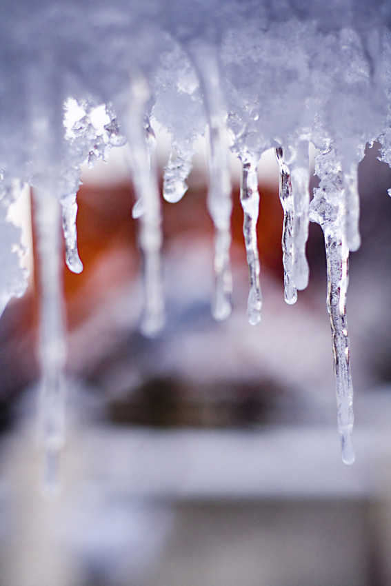 31 марта - Кирилл-дери полоз