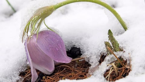 Опять зима?