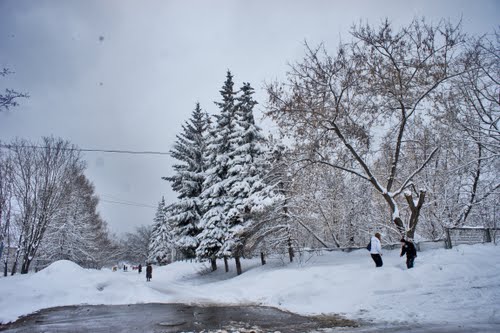 Прощание зимы...