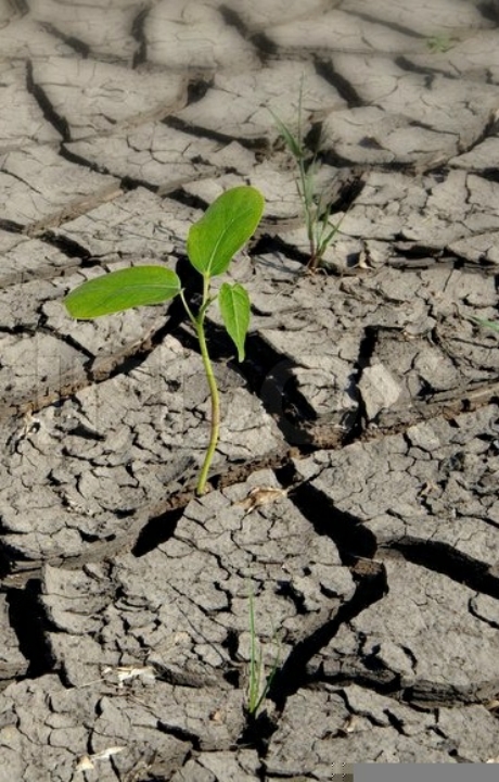 Правда судьбы