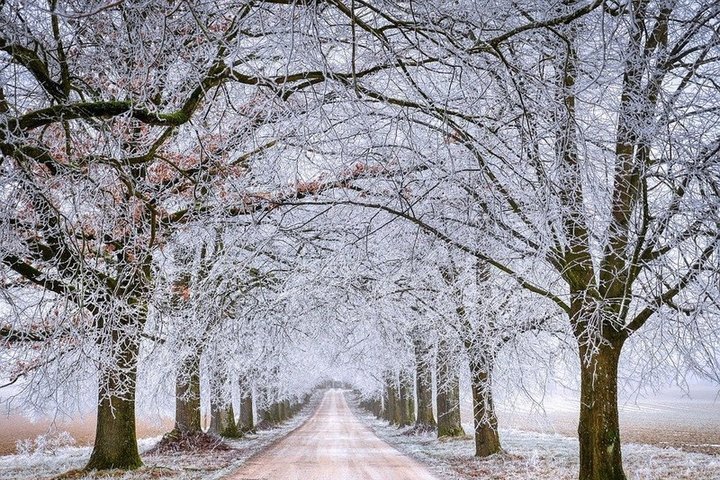 Опять метель