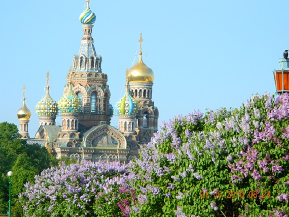 Питерской весне...