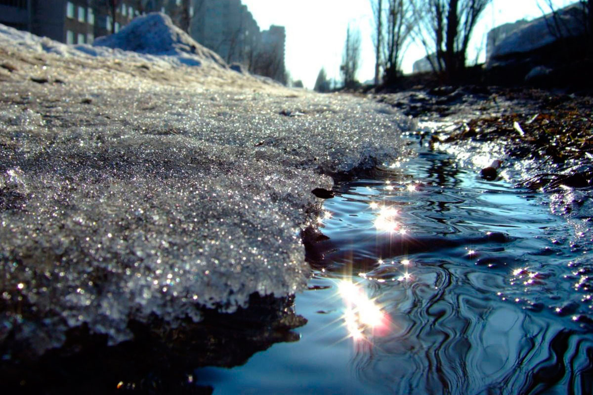 Весенняя прогулка...