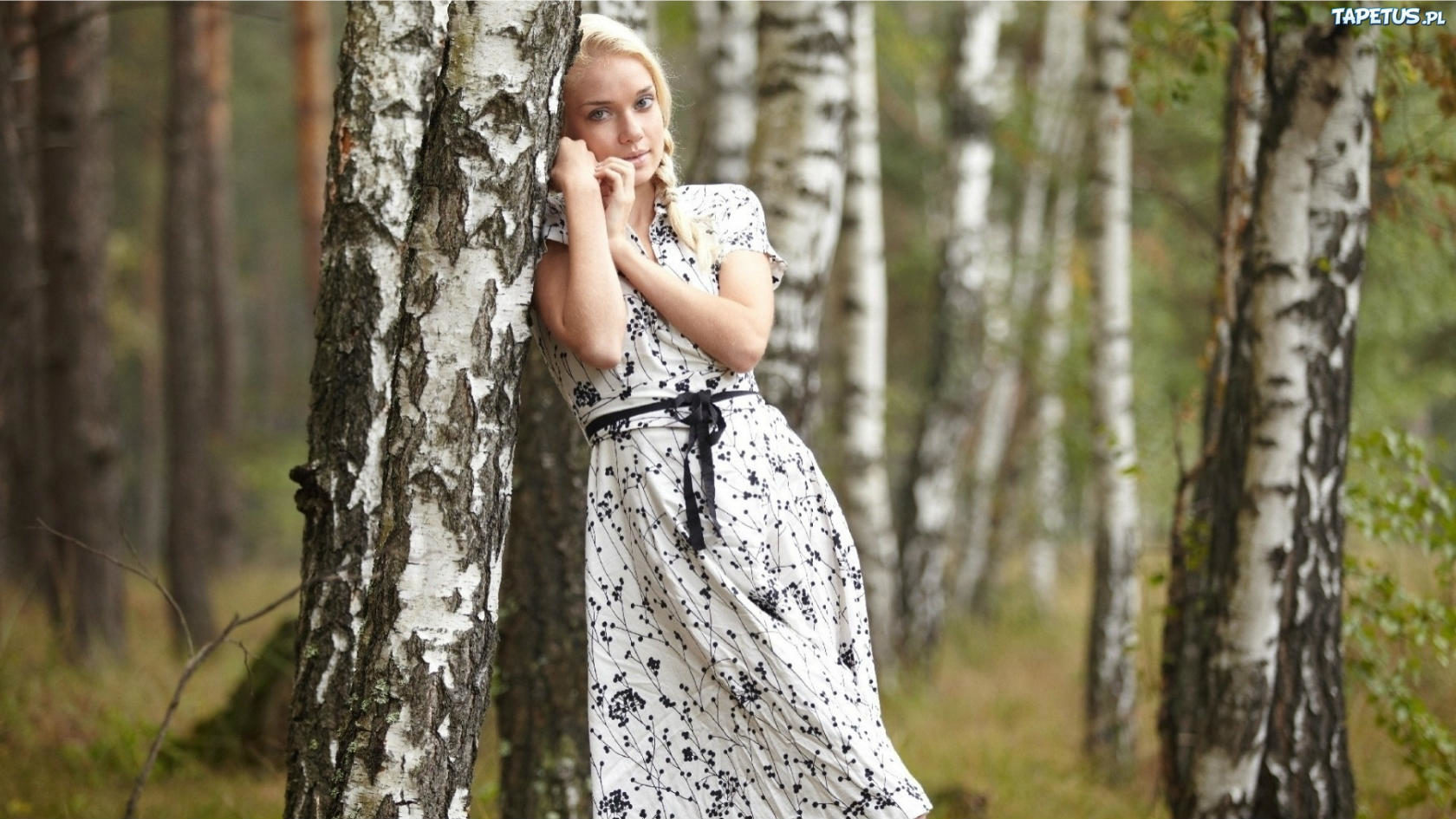 Твои слова...