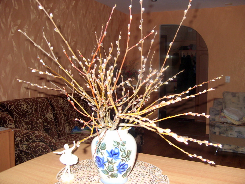 Весенние мотивы