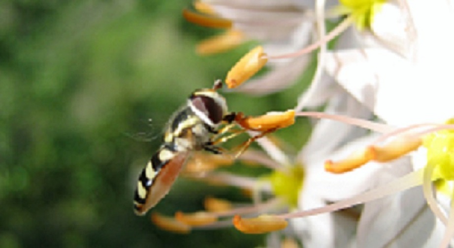 Проза жизни