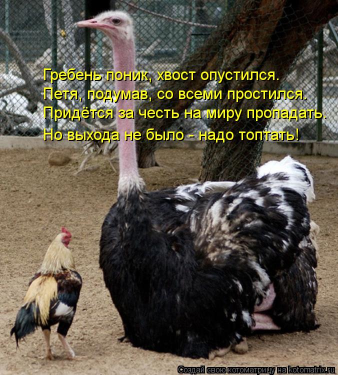 страсти в гареме... шуточное