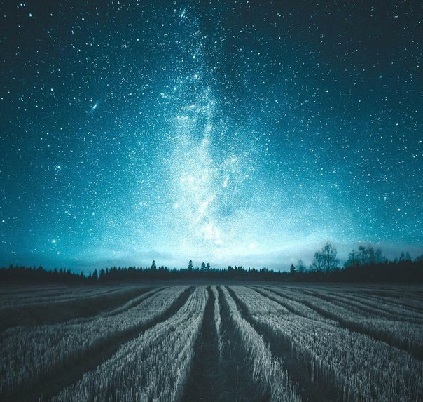 Самоубийца