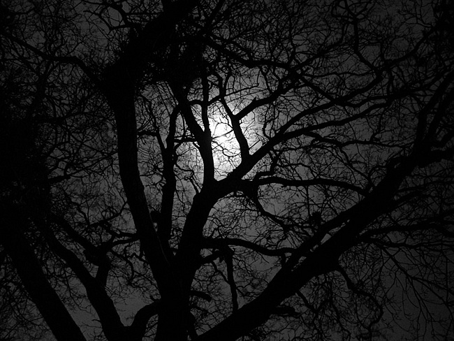 Первоапрельская ночь