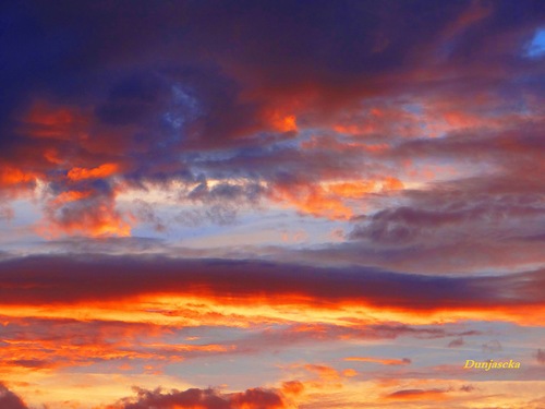 Подарила фото с уголком