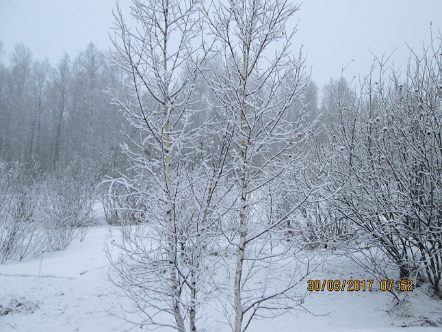 Гламурное утро