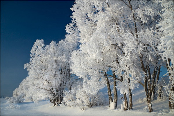 Ты, зима, понять должна!