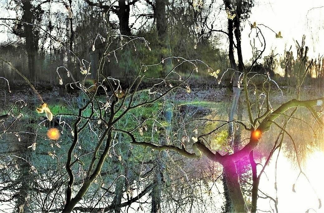 Весняночка гуляет