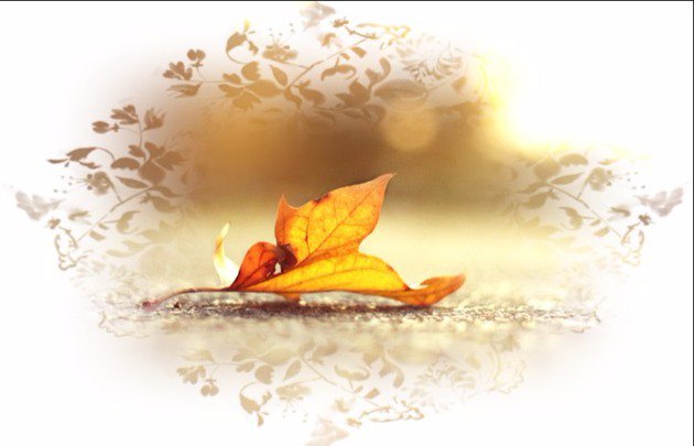 Золотая верность