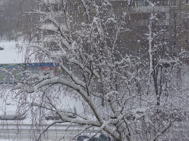 Завтра Первое Апреля! Грусть у окна