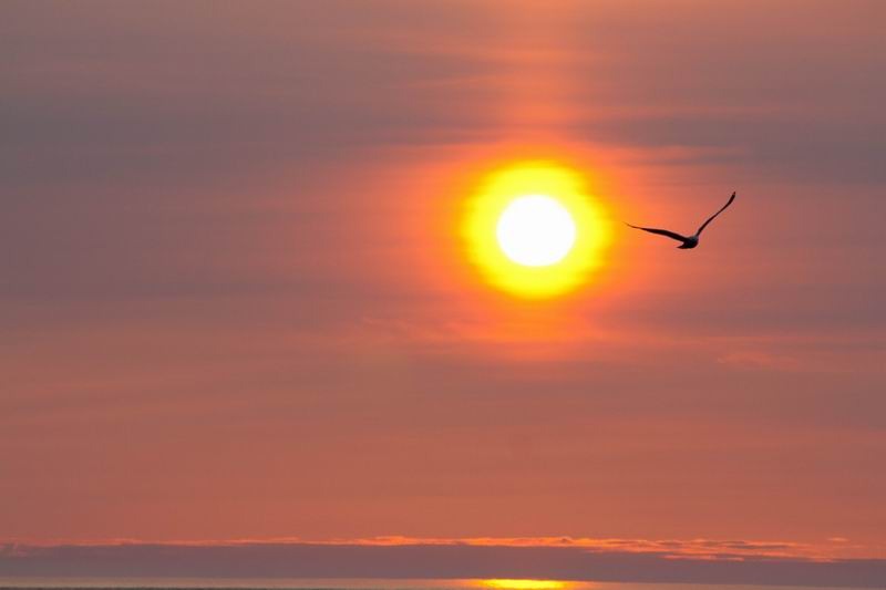 4 апреля - Василий-солнечник