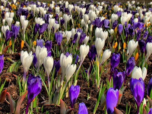 Был просто день