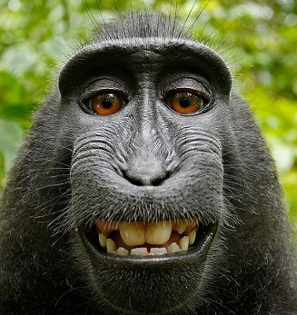 Кто от нас произойдёт