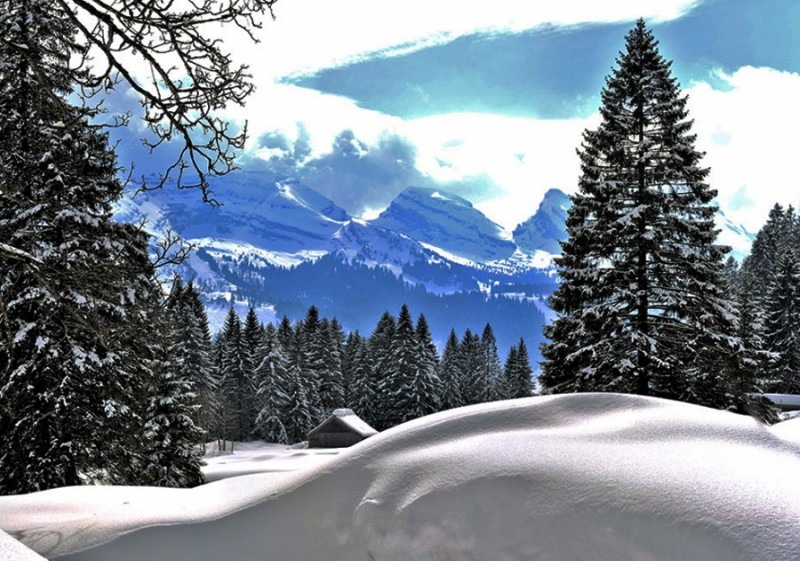 Как же много было снега!
