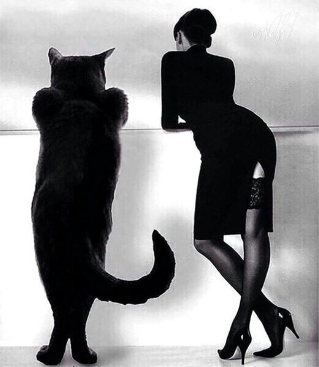 И снова Днюшка!