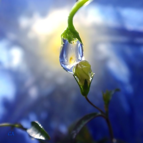 Куда коварству без любви