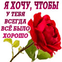 Душа, не находя успокоенья