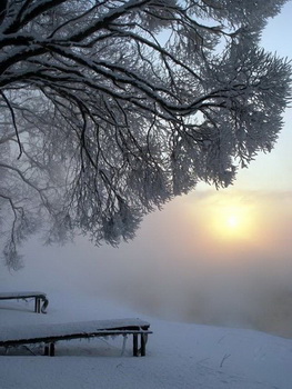Опять снежком просыпался апрель!