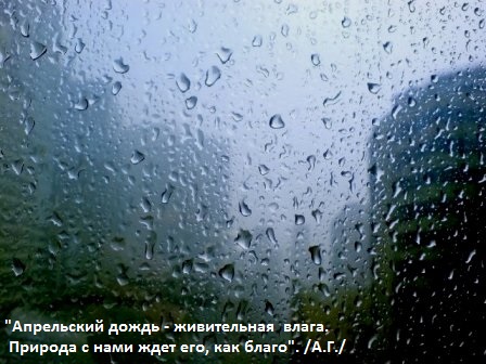 Предрассветные строчки