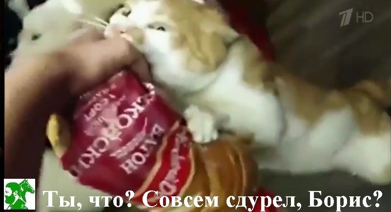 Ты, что? Совсем сдурел, Борис?