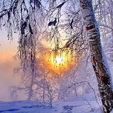 Молитвой зовет. Памяти Поэта Евгения Евтушенко