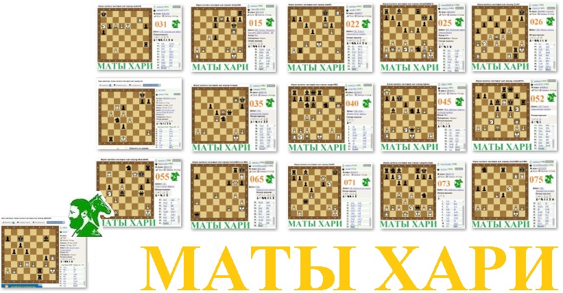 Маты Хари 001