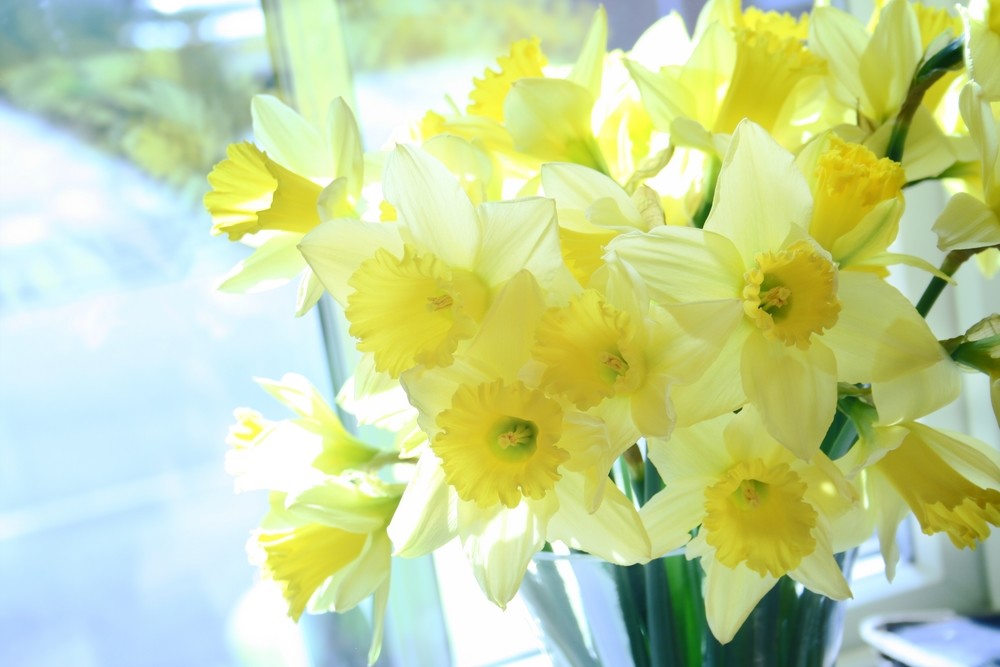 Как хорошо тому, кто чувствует весну!