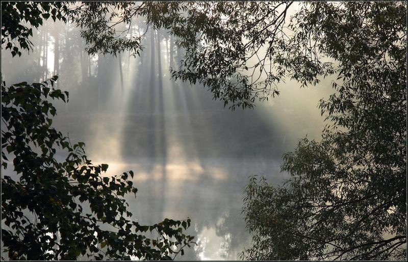 Чу, показалось!