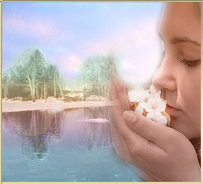 Цветок счастливый