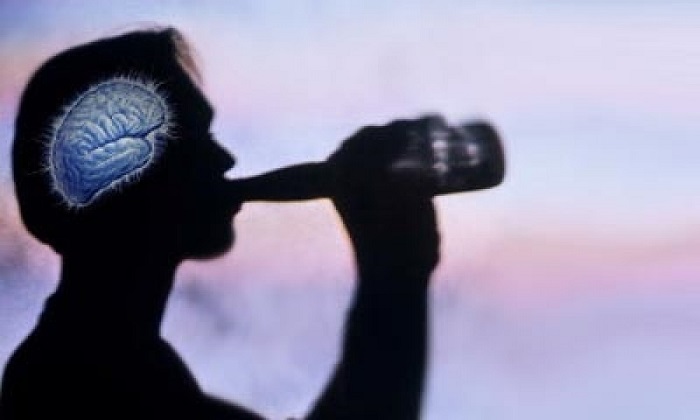 Алкаш пропил свои мозги...