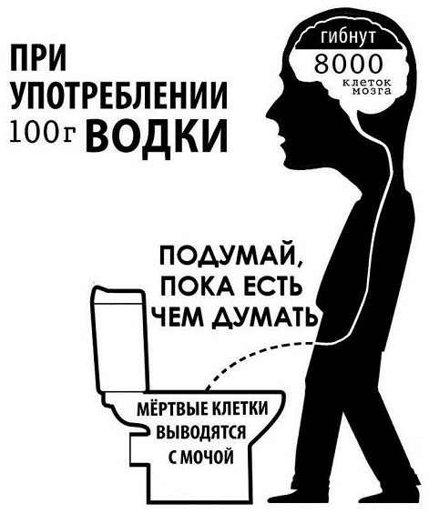 Все, кто пьют - те дураки...