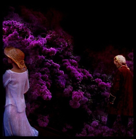 Луна сияет в зарослях сирени...