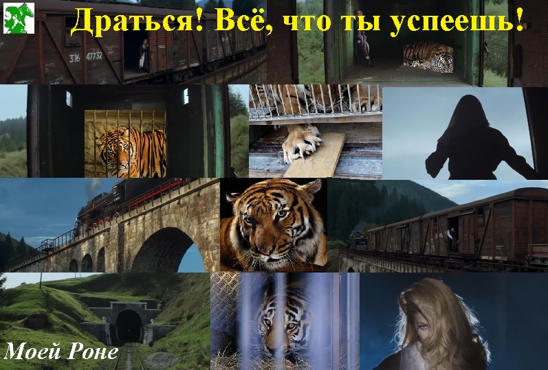 Драться! Всё, что ты успеешь!