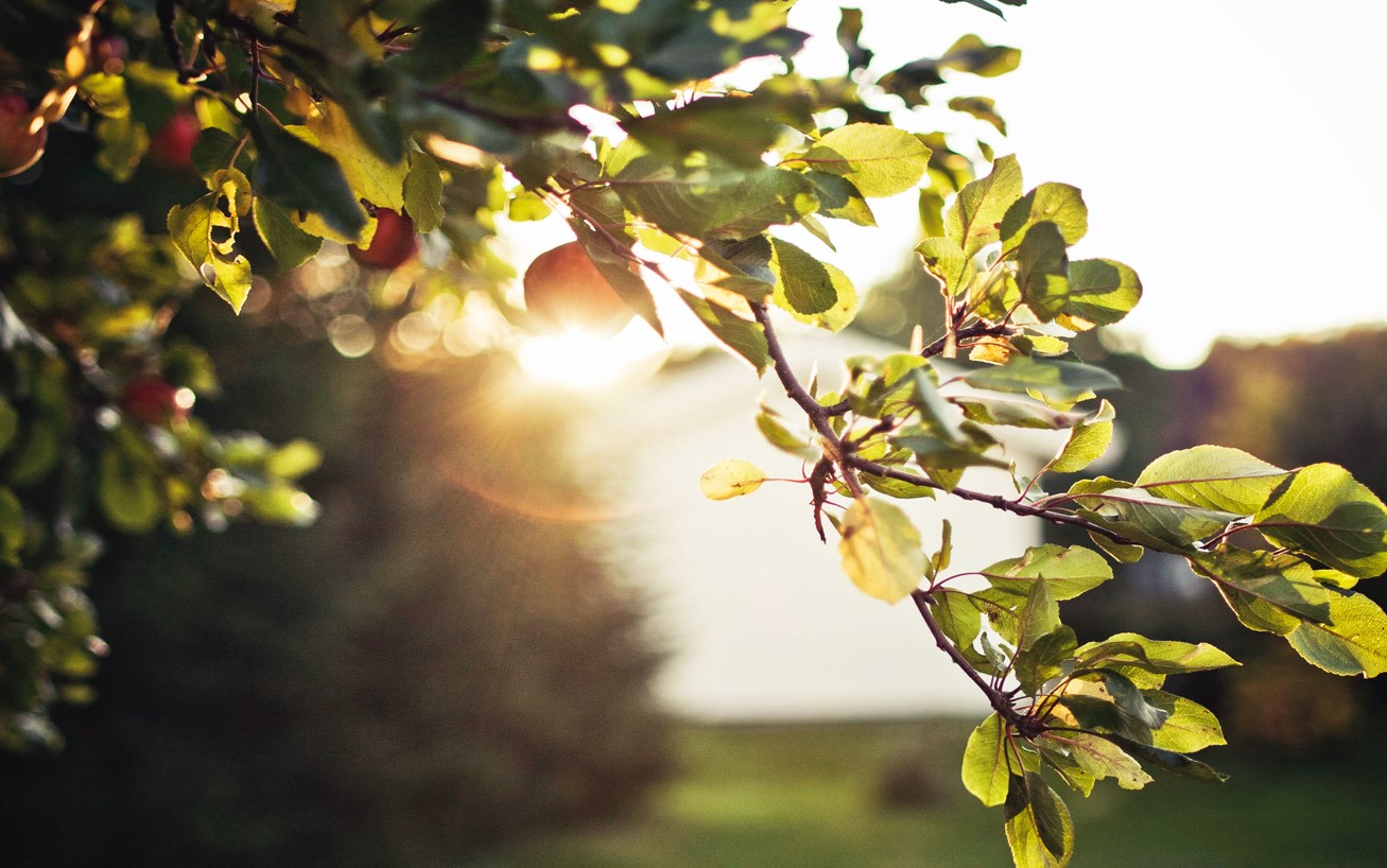 Людская верность