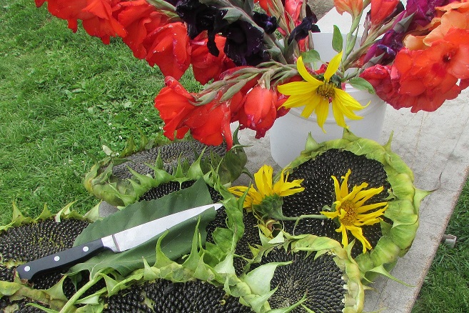 Синдром Соляриса