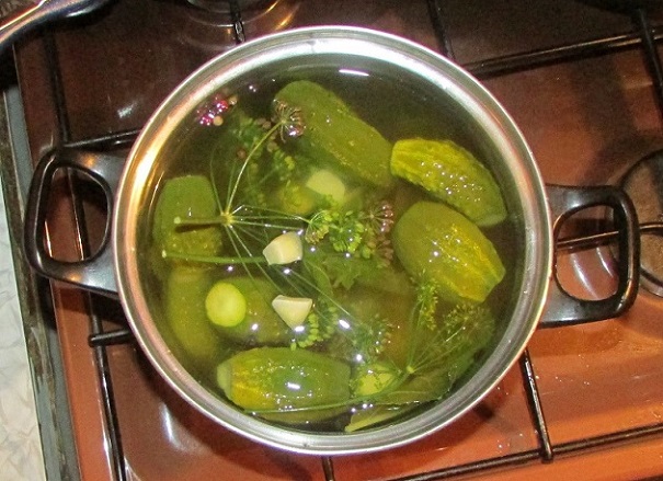 Хотя мне праздник - слышать речь...