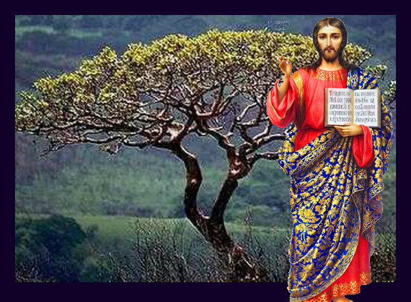 О лицемерии