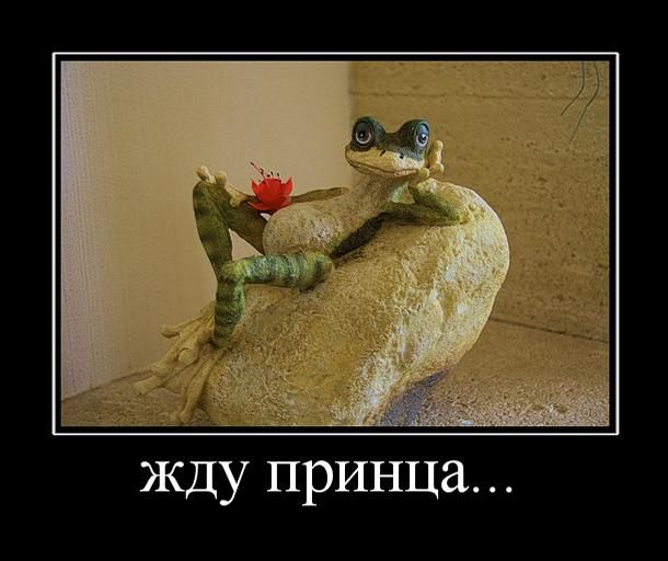 картинка сижу жду принца рамки зависимости