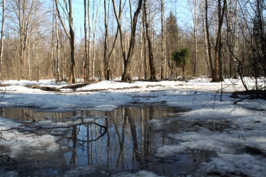 Я жду весну