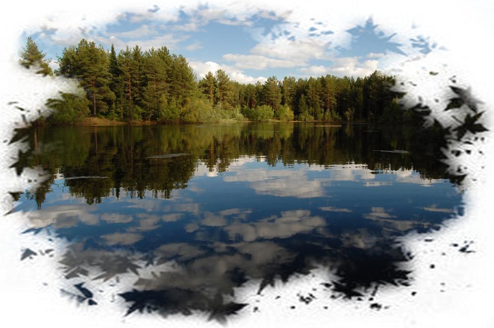 Лесное озеро